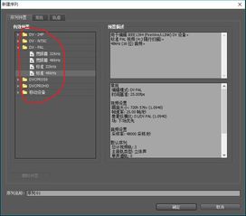 Adobe Premiere Pro CS4導(dǎo)出畫(huà)面模糊 原因分析與解決方案